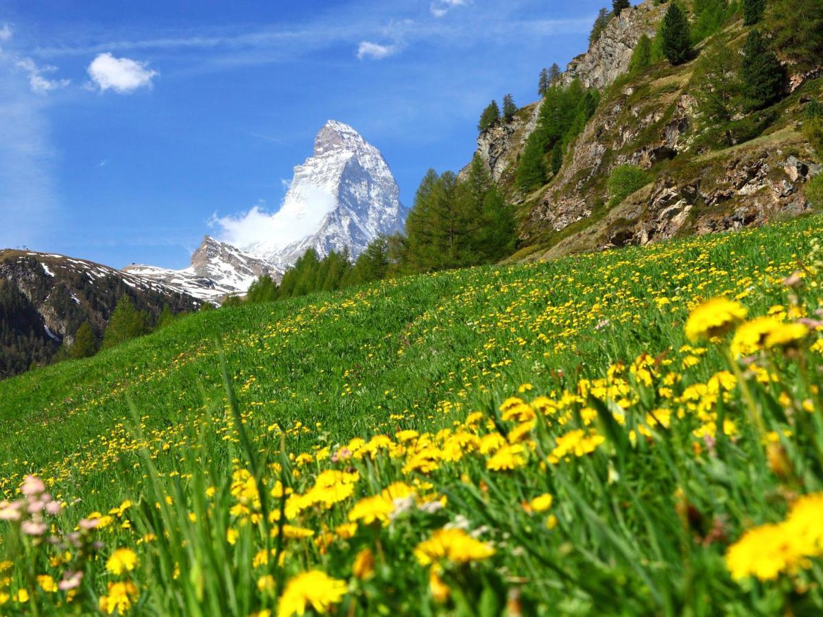 Apartment Alba By Interhome Zermatt Buitenkant foto